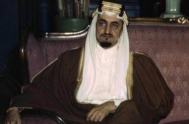 Printii sauditi, in pericol