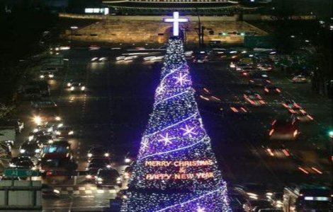 Top  Craciun 2013: Topul celor mai frumosi brazi din lume