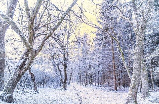 Prognoza meteo: Cum va fi vremea la inceputul anului 2014