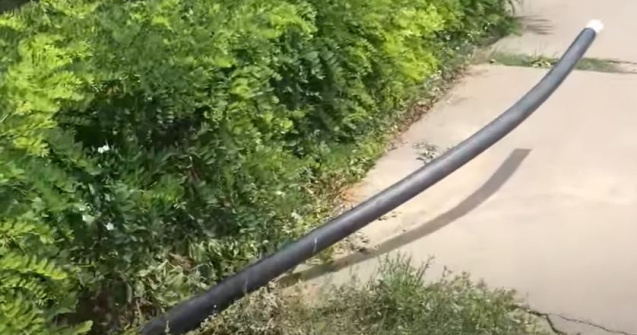 România, gaură neagră de bani publici: Parcul cu 122 de bănci, plin de buruieni