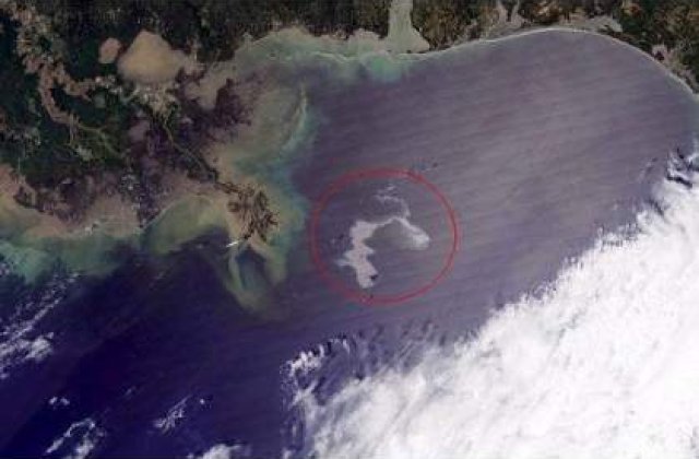 69 de milioane de dolari despagubire pentru pata de petrol din Golful Mexic