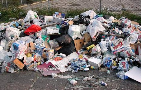  Video  Hotel din gunoi, deschis in centrul Romei