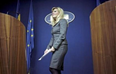 Udrea: "Nu este acum momentul pentru discutii despre remaniere"