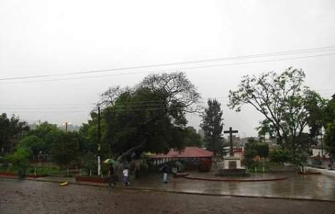 Furtuna Agatha a facut peste 200 de victime