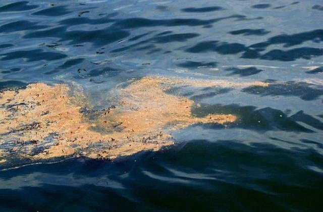 Dunarea a fost poluata cu produse petroliere pe o distanta de doi kilometri