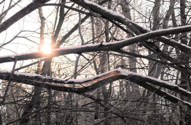 Meteo: Cum va fi vremea de Revelion