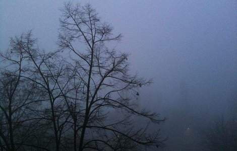 Circulatie ingreunata din cauza ceii