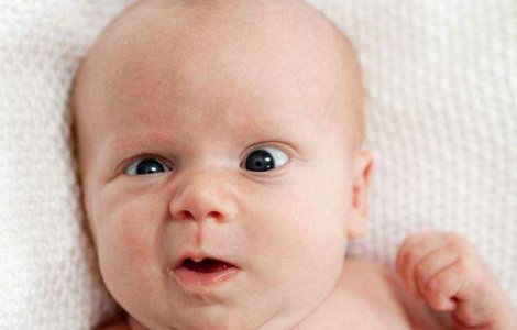  Top  Premiile Darwin 2013: Prostia extrema este "rasplatita"