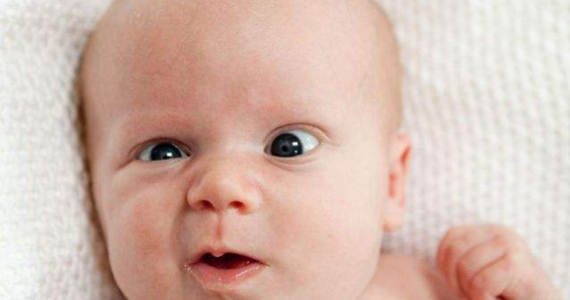  Top  Premiile Darwin 2013: Prostia extrema este "rasplatita"