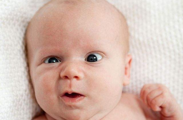 Premiile Darwin 2013: Prostia extrema este "rasplatita"