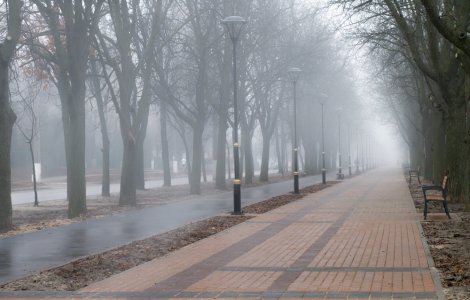 Cod galben de ceață densă şi condiţii de formare a gheţuşului în 7 județe