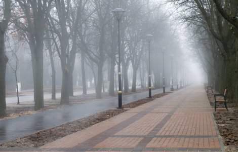 Cod galben de ceață densă şi condiţii de formare a gheţuşului în 7 județe