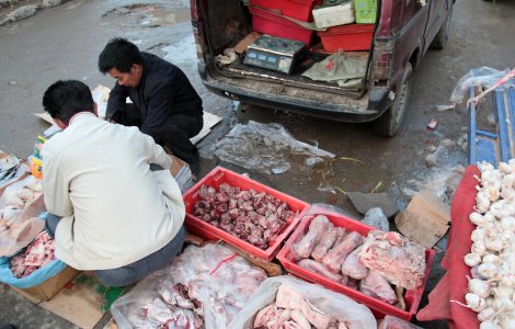 Ar putea izbucni o nouă pandemie din China. Oamenii de știință au descoperit 18 noi virusuri cu risc ridicat