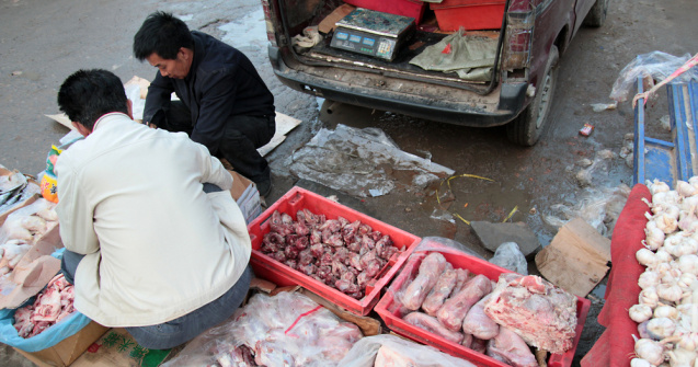 Ar putea izbucni o nouă pandemie din China. Oamenii de știință au descoperit 18 noi virusuri cu risc ridicat