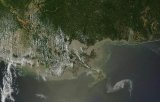 Dezastrul ecologic din Golful Mexic ia proportii