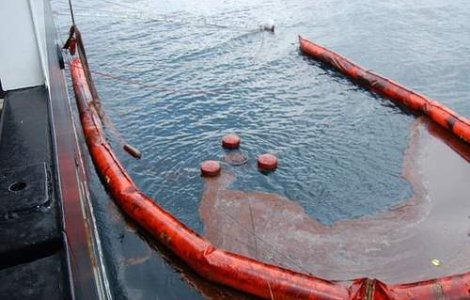 Cat a cheltuit BP cu pata de petrol?