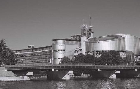 Romulus Mailat se adreseaza CEDO