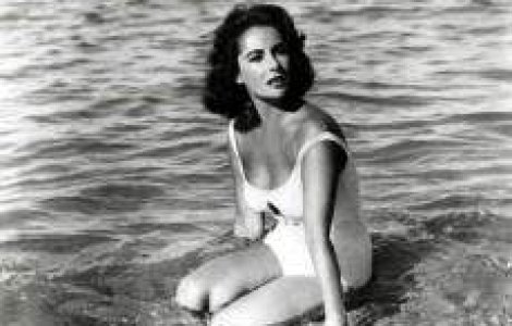 Portret al lui Elizabeth Taylor, scos la licitatie