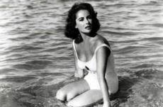 Portret al lui Elizabeth Taylor, scos la licitatie