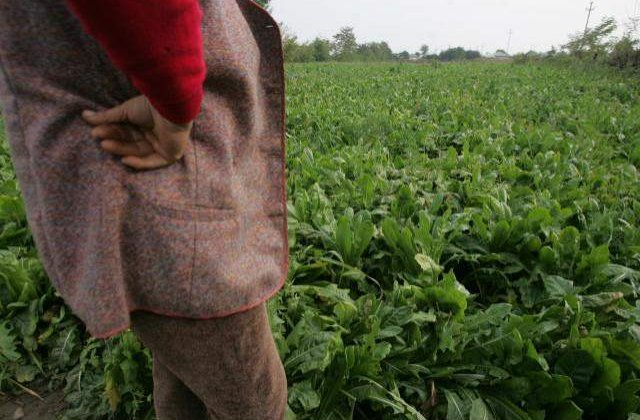 Agricultorii ameninta cu blocarea drumurilor