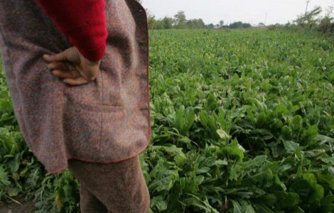 Agricultorii ameninta cu blocarea drumurilor