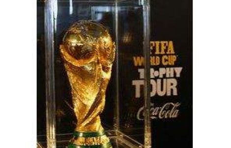 Cine va juca in finala CM 2010?