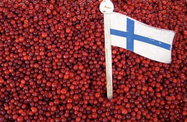 Alerta in Zona Euro: Finlanda a reintrat in recesiune