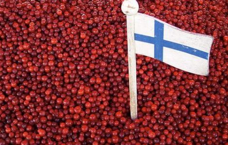 Alerta in Zona Euro: Finlanda a reintrat in recesiune