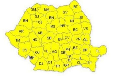 Cod galben de canicula