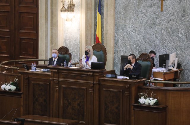 Alina Gorghiu: Era elegant ca Anca Dragu să își dea demisia din funcția de președinte al Senatului