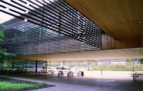 Mexic: 19 persoane ucise intr-un centru de dezintoxicare