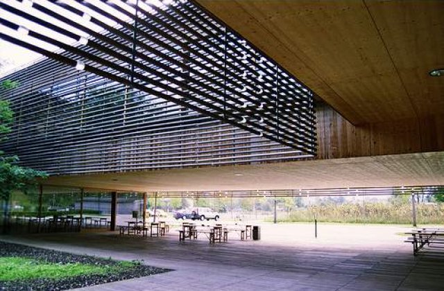 Mexic: 19 persoane ucise intr-un centru de dezintoxicare