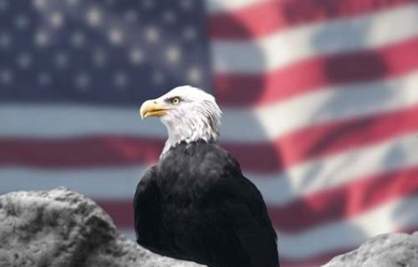 Romania - SUA : 130 de ani de relatii diplomatice