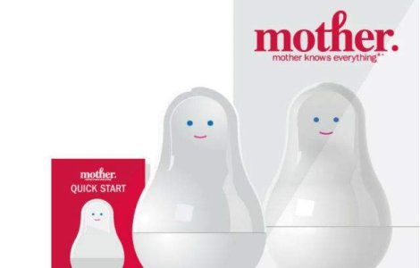 Franta: O "mama" electronica poate supraveghea obiectele conectate la internet