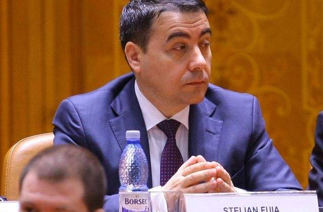 Fostul ministru Stelian Fuia, urmarit penal pentru abuz in serviciu
