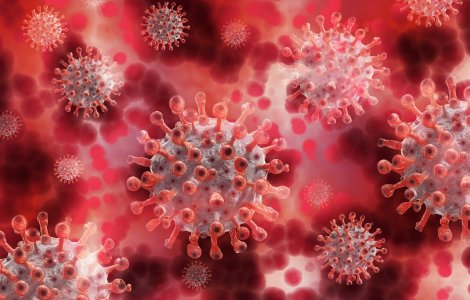 Reuniune de urgență a miniștrilor sănătății din țările G7 pentru a discuta despre noua variantă de coronavirus, Omicron
