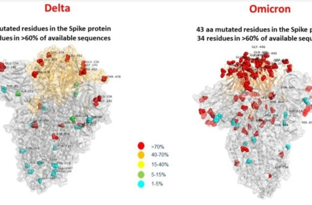 Varianta Omicron &icirc;nregistrează un număr semnificativ mai mare de mutații comparativ cu Delta