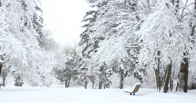 ANM: Avertizări de vijelie şi ninsori viscolite în următoarele 24 de ore