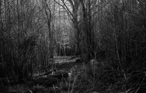 Enigme romanesti: Zone cu energii paranormale