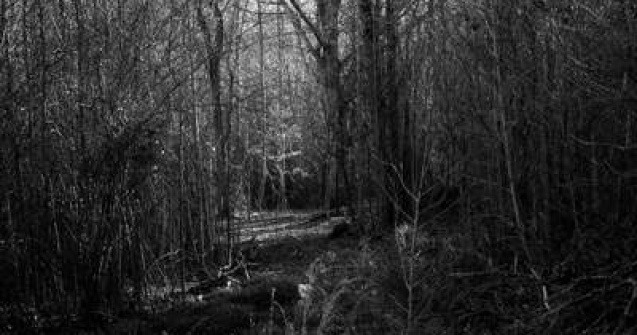 Enigme romanesti: Zone cu energii paranormale