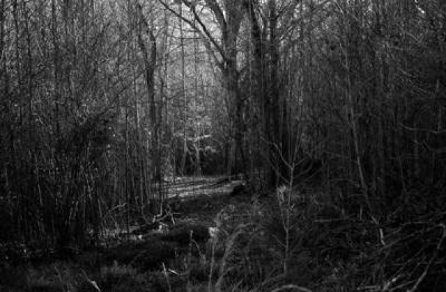 Enigme romanesti: Zone cu energii paranormale