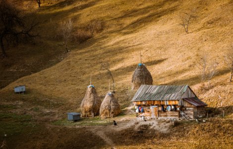  Top  Prognoza meteo pentru ziua de joi, 2 decembrie 2021. Vremea va fi mai caldă decât normalul perioadei