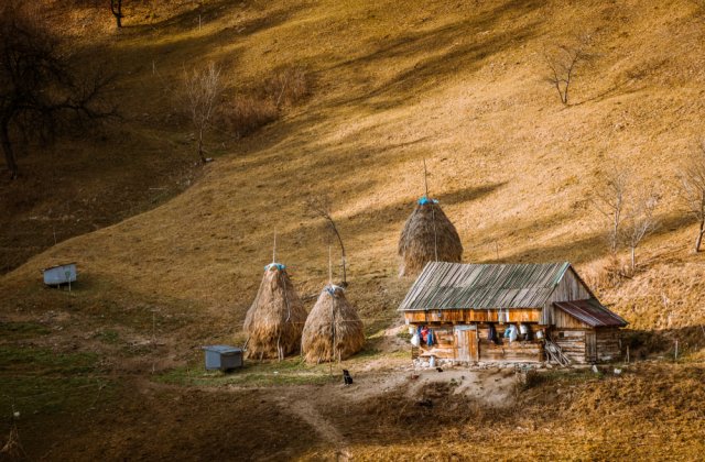 Prognoza meteo pentru ziua de joi, 2 decembrie 2021. Vremea va fi mai caldă decât normalul perioadei  