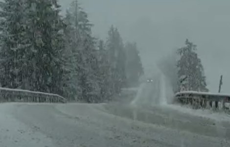 ANM: Vânt și ploaie, lapoviță și ninsoare la nivelul întregii țări, până sâmbătă dimineață