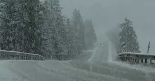 ANM: Vânt și ploaie, lapoviță și ninsoare la nivelul întregii țări, până sâmbătă dimineață