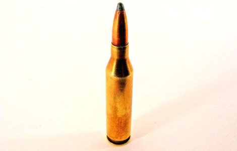 O tanara si-a ucis accidental bunica cu o arma de vanatoare