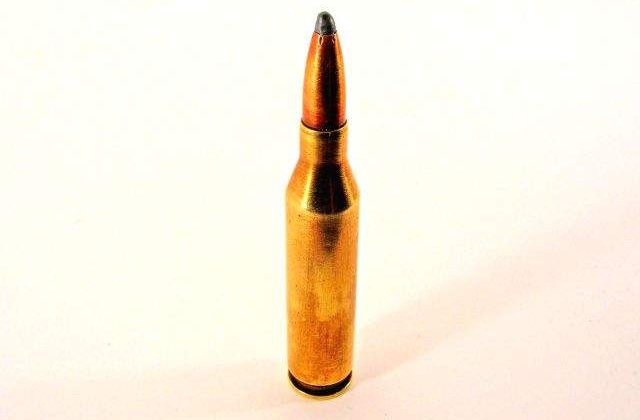 O tanara si-a ucis accidental bunica cu o arma de vanatoare