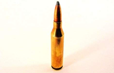 O tanara si-a ucis accidental bunica cu o arma de vanatoare