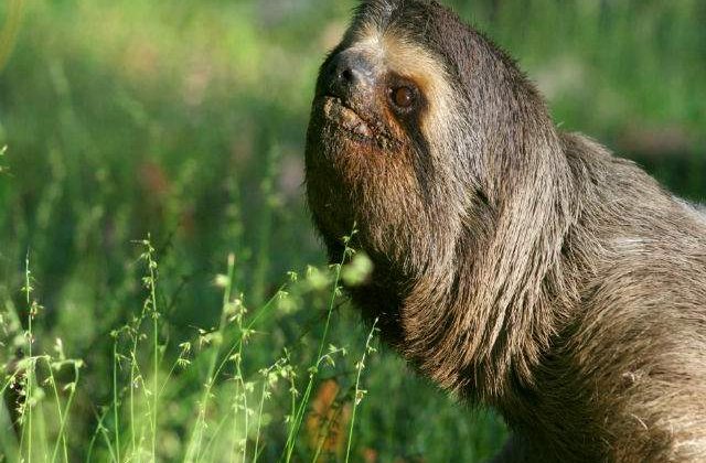 Top 10 obiecte inventate pentru cei mai lenesi oameni