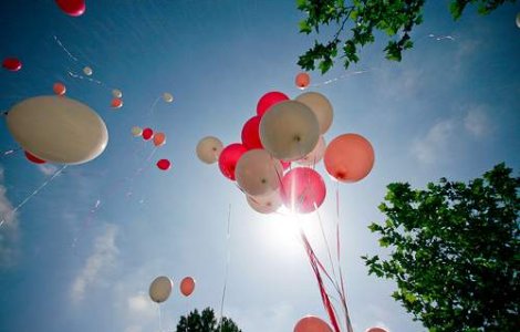 Precautia sud-coreeana, fara limite